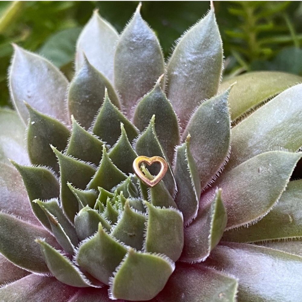 BVLA 14k Rose Gold open heart threadless end